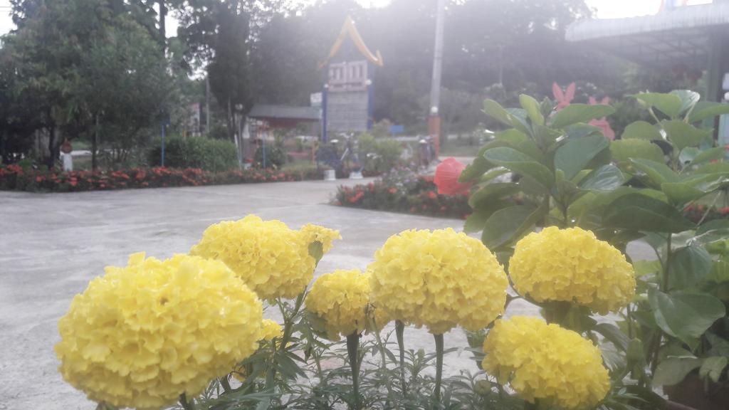 Paramee Inn Pai Exterior foto